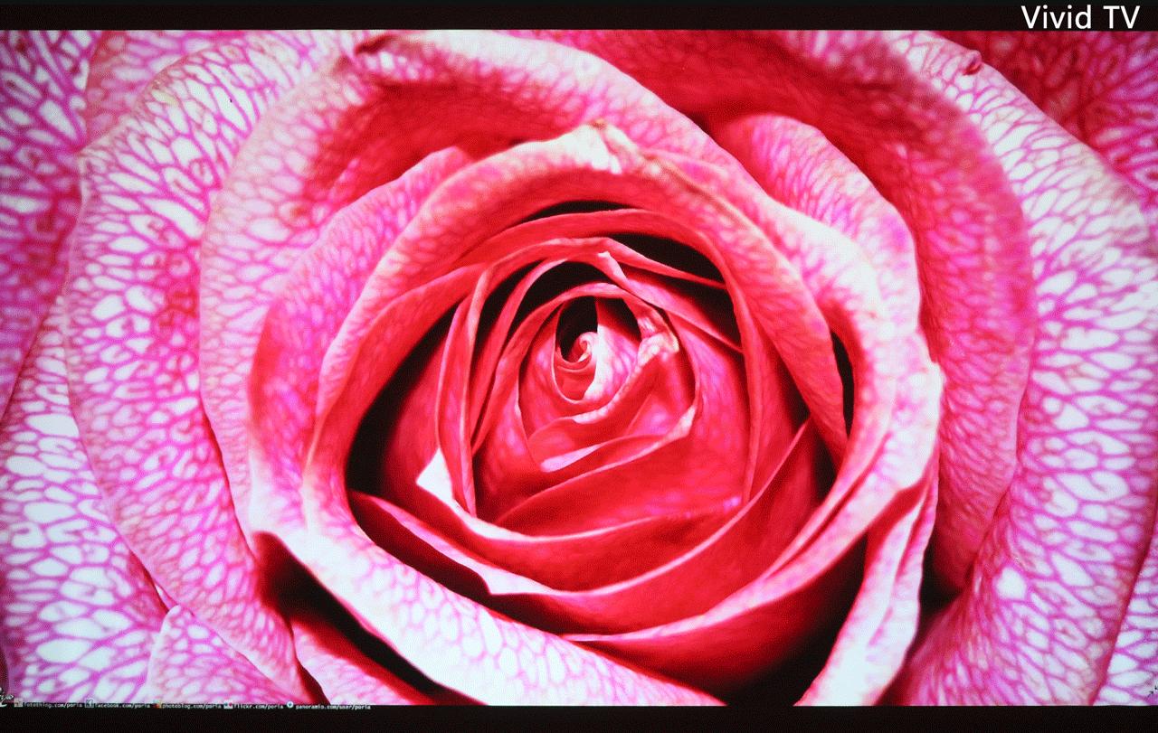 明基投影仪i707真实评测,爱普生投影仪tw5700tx和明基i707