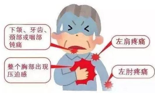 通心络与芪苈强心胶囊,蛭芪通心络胶囊功效