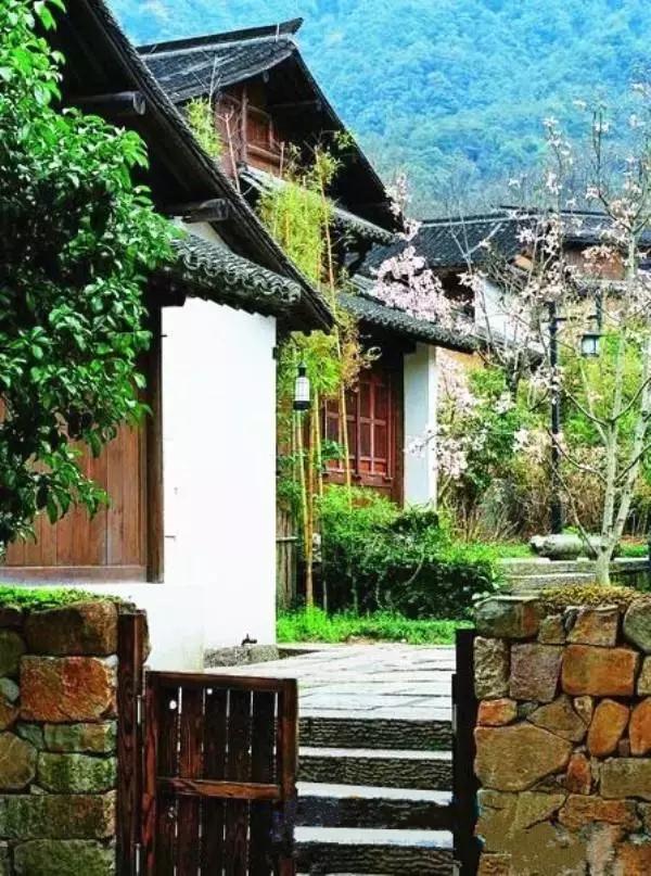 杭州隐宿网红民宿,杭州隐居山林古风小屋