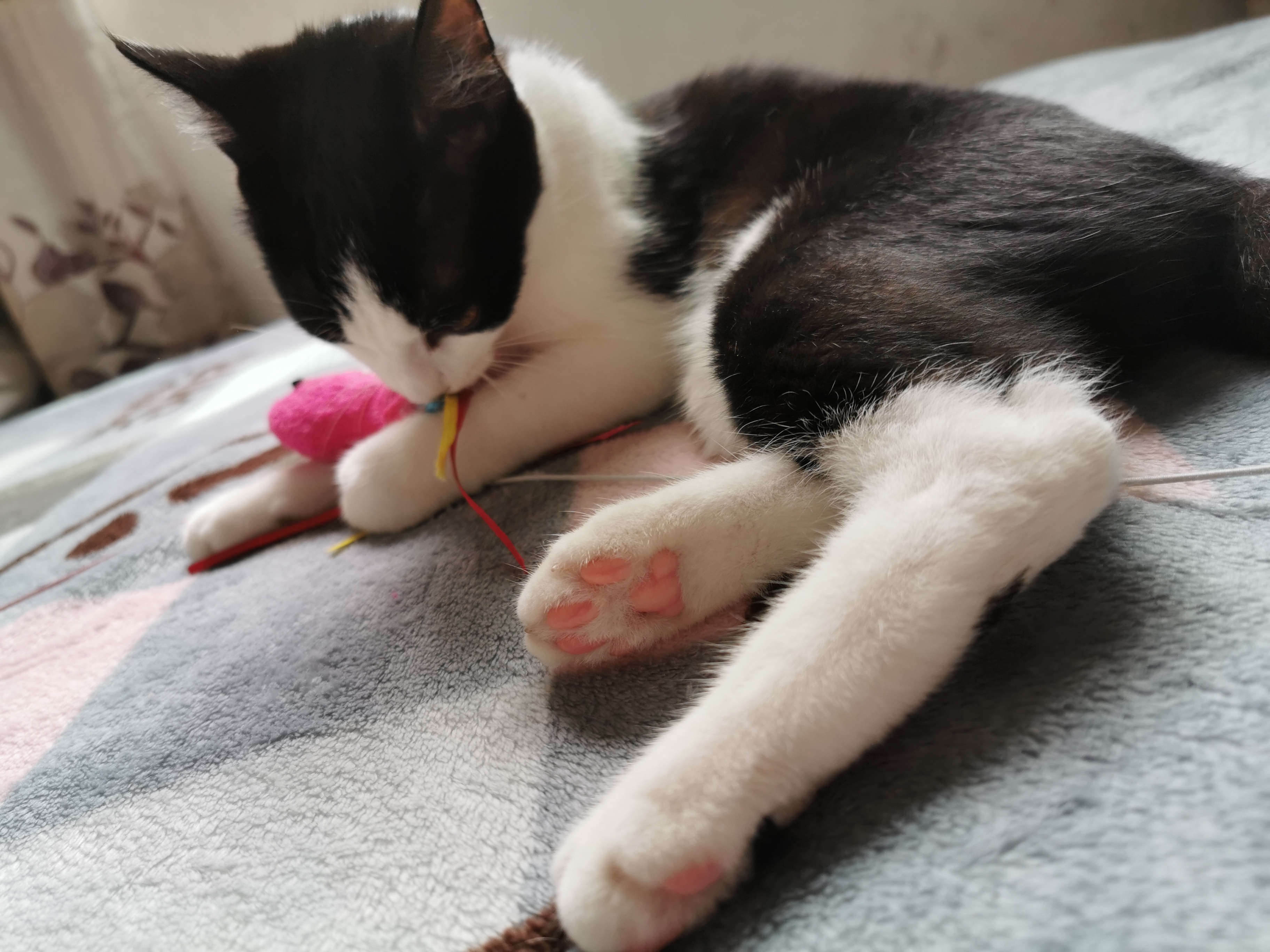 下雨天了我好想你歌词,下雨天了怎么办我好想你原版