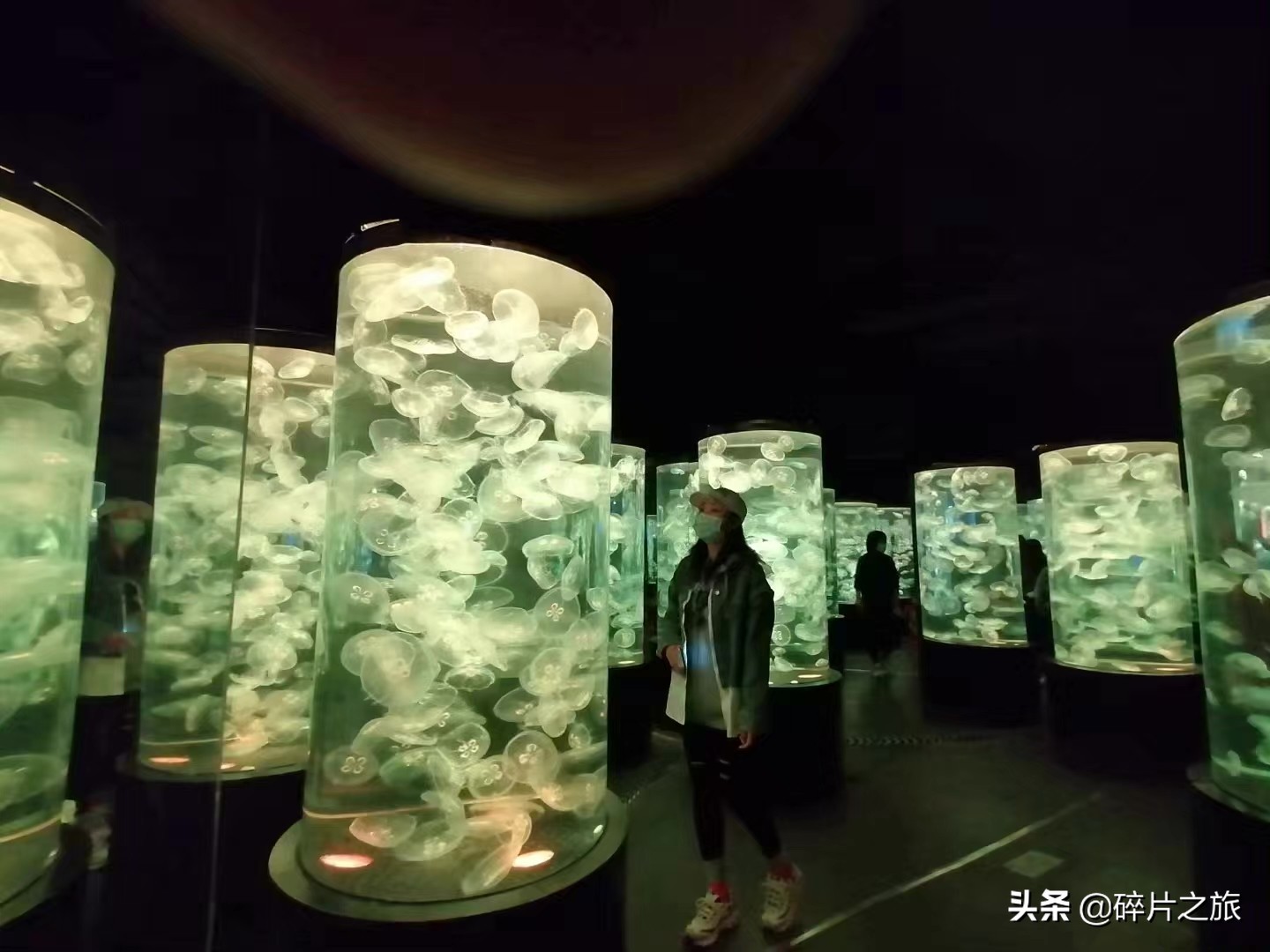 海滨城市大连旅游必备攻略,美丽的海滨城市大连星海广场