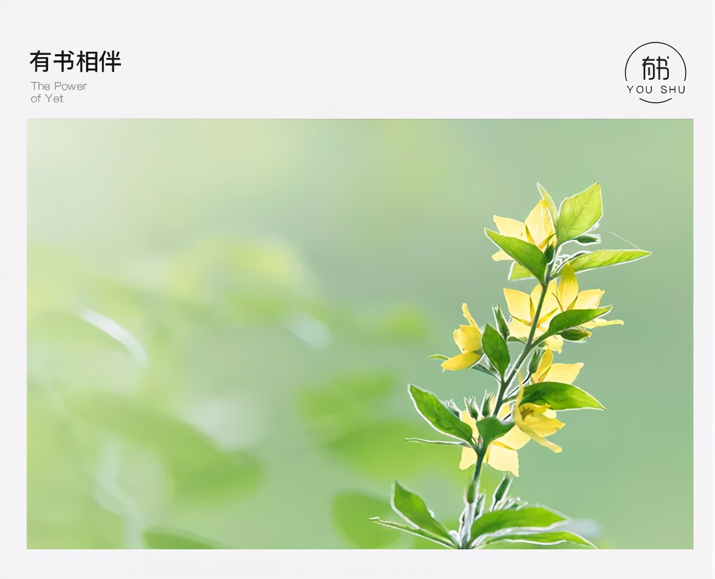 住老丈人家发现自己很多问题,老丈人住我家不停的抽烟