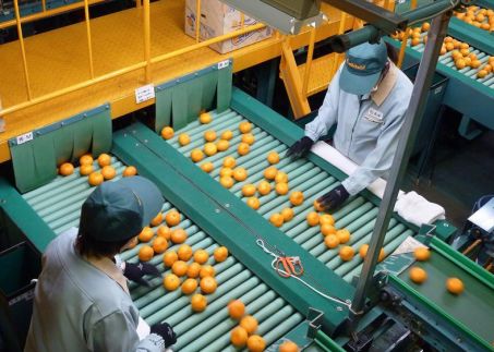 日本农协如何,日本农协为什么厉害