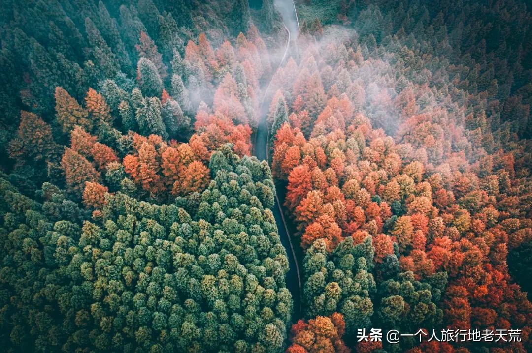 这才是12月最值得去的旅行地,11月12月去哪里旅游最美