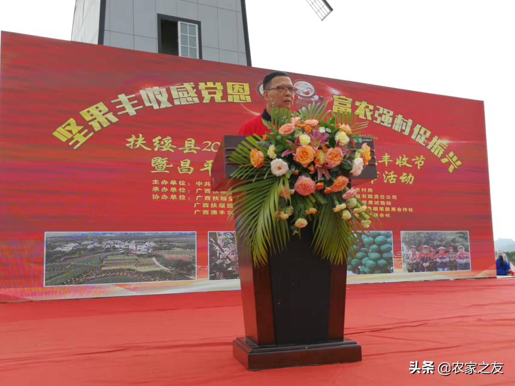 扶绥县昌平坚果苗,扶绥昌平坚果种植基地