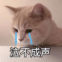 手机不慎入水怎么办,手机不小心进水快速急救