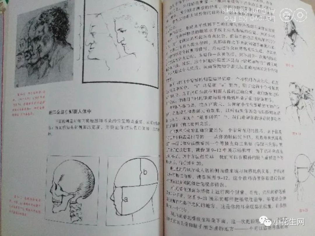 从零开始学绘画必备的画,从零开始学绘画第一步教程