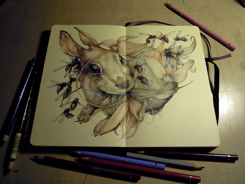 意大利彩铅画家,马可雷诺艺术家彩铅60色