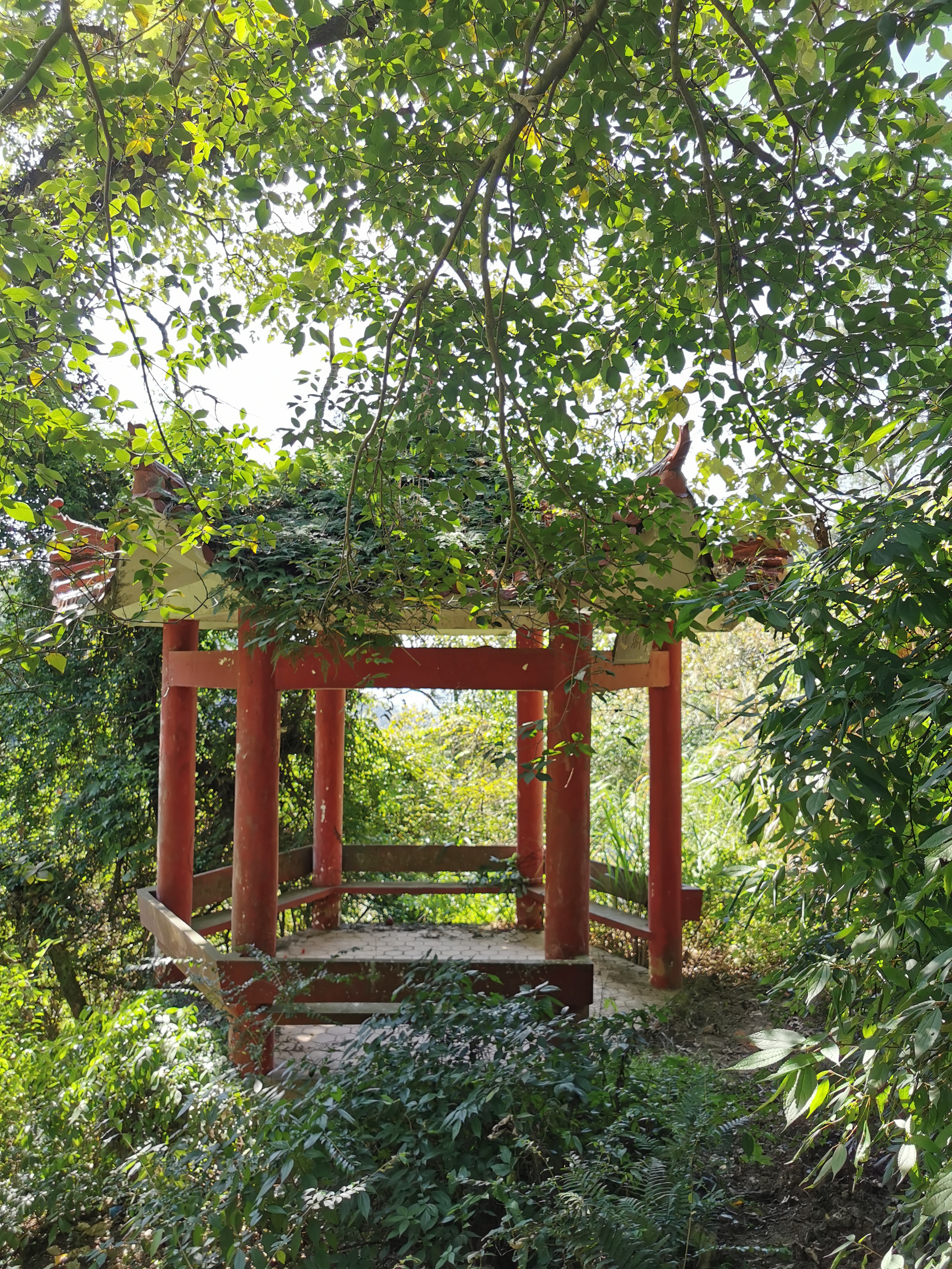 登云水库,登云湖水库