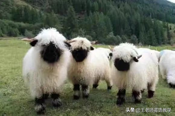 四个维度深入分析,四个维度主要内容