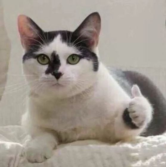 深圳一二三档医保退休待遇,深圳医保一二三档区别