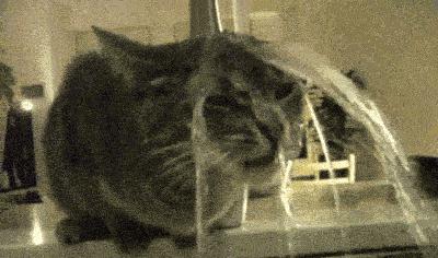 泰国最火的护肤品品牌,泰国护肤品质量怎么样