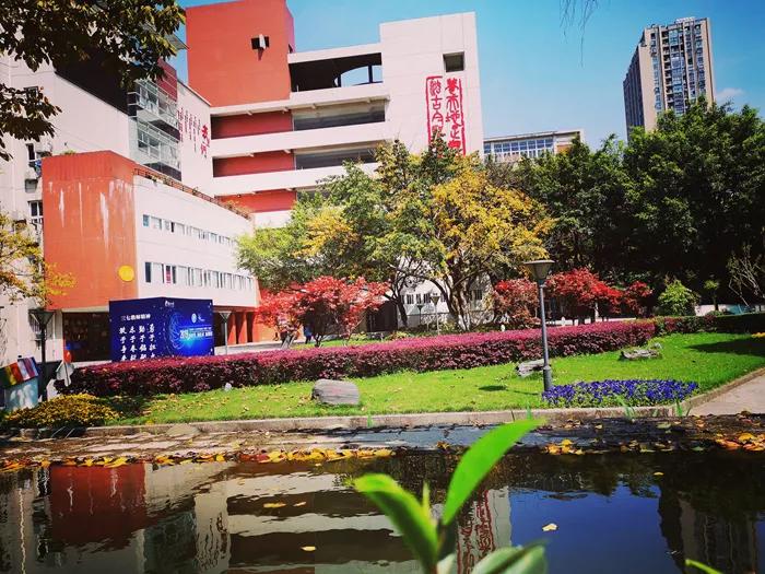 大渡口区重点中学,重庆市大渡口区三十七中录取标准