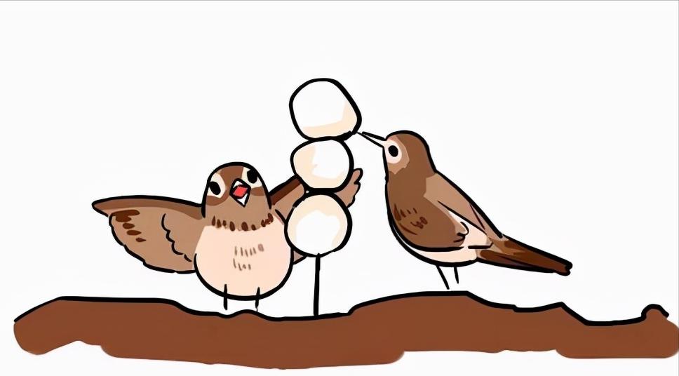 关于24节气秋分的信息,秋分节气的科普知识