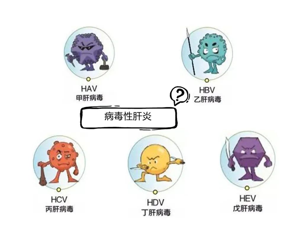 【世界肝炎日】家有“心肝”宝贝，小心儿童病毒性肝炎“肝”扰【呱呱教·151】