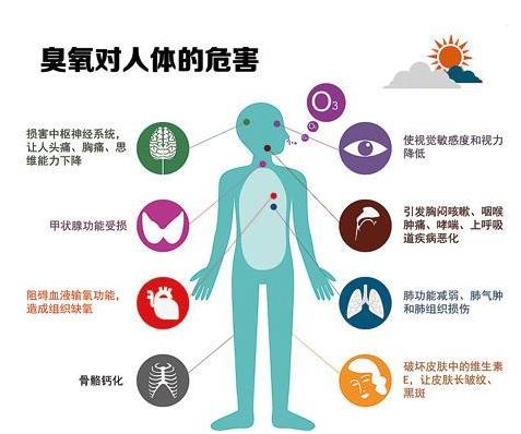 臭氧污染对人的危害,臭氧污染的危害及防范措施申请表