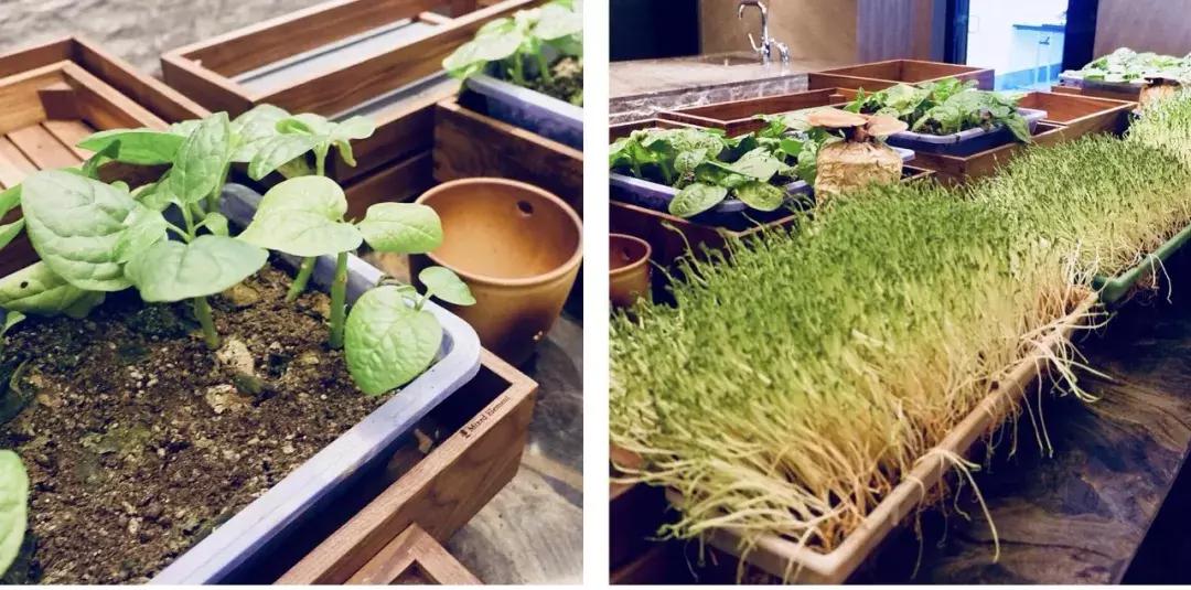 住过无数家W,却被新开业的西安W迷到愣神！原来真存在流光溢彩的梦