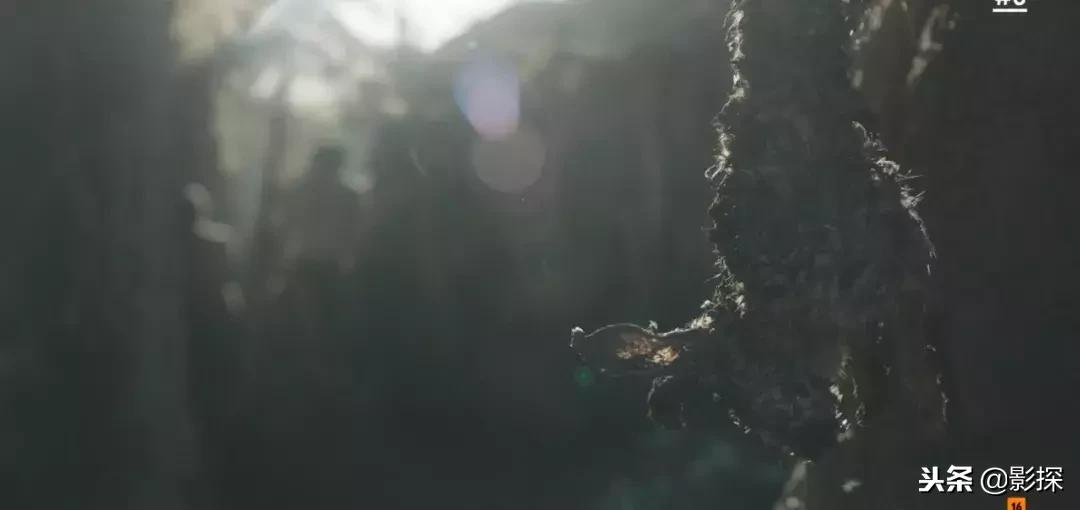 节操撕裂……我宣布，年度硬盘之王诞生了！