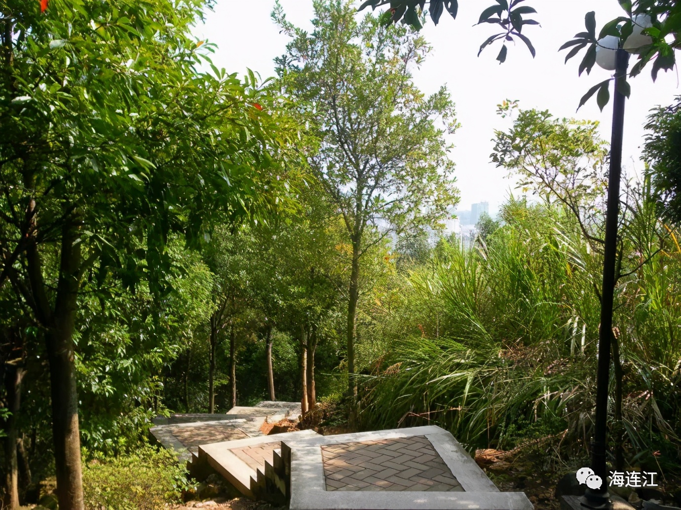 本周日！连江的你欲往哪座山头？