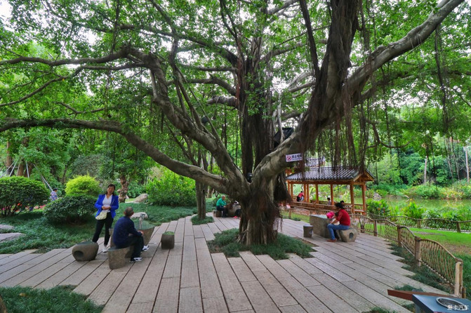 福州烟台山一日游最佳路线图,福州地铁旅游攻略一日游