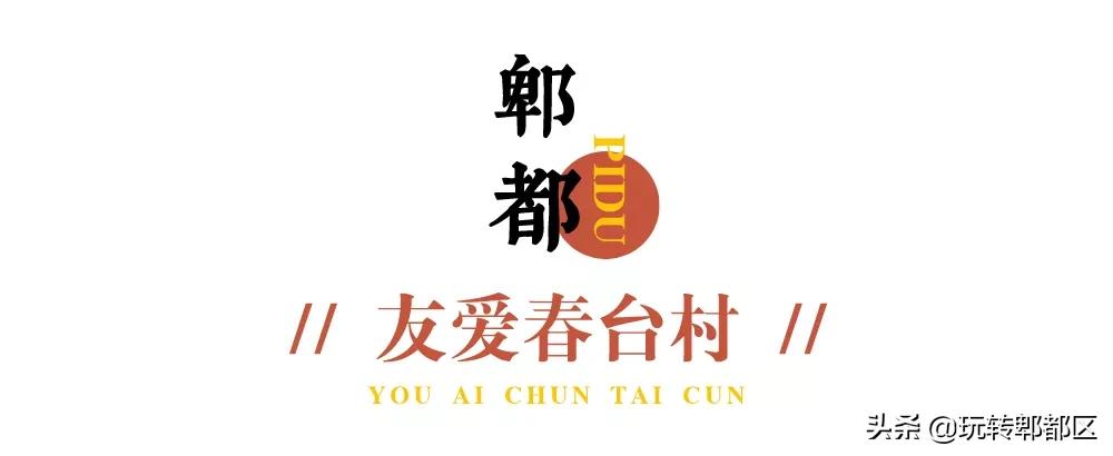 郫都区十大银杏打卡地,郫都区看银杏最好的地方