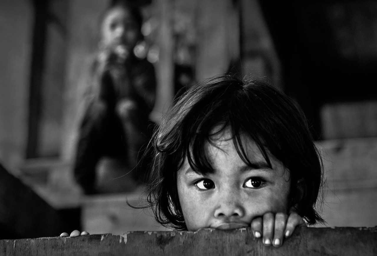 医疗教育住房养老解决了吗,解决住房教育医疗养老