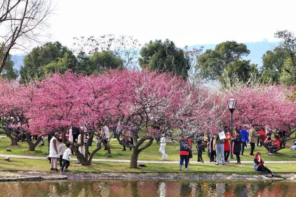长沙公园旅游攻略必去景点,长沙生态公园园内游玩攻略