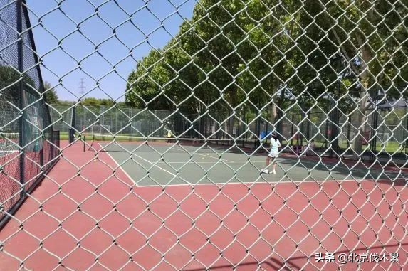 芒种旅游景点推荐,芒种至仲夏节气