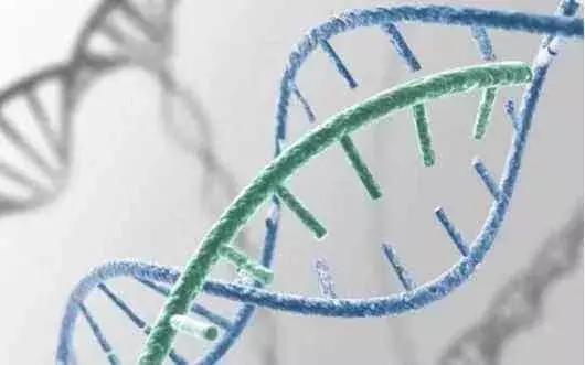 治疗哮喘的知名大夫,治疗哮喘中医还是西医好