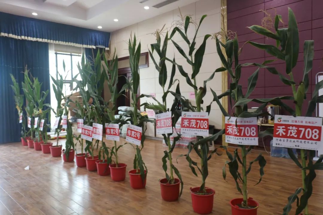 宝景农业,转变思路种地挣钱