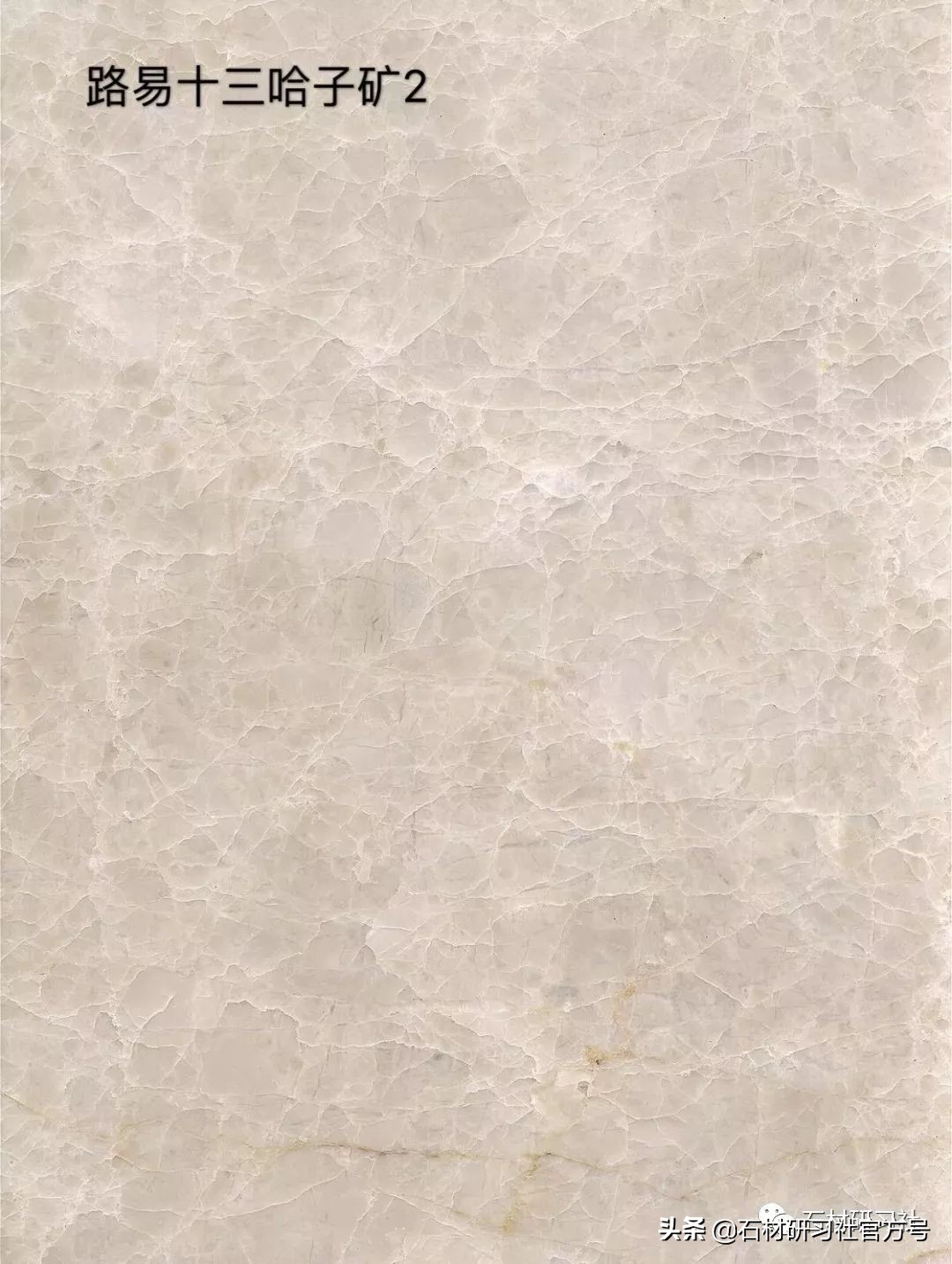 豪宅用的高级天然大理石,别墅铺什么颜色大理石档次最高