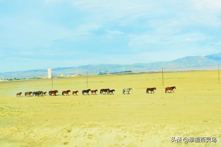 有了这攻略，自驾*藏西**游省心很多