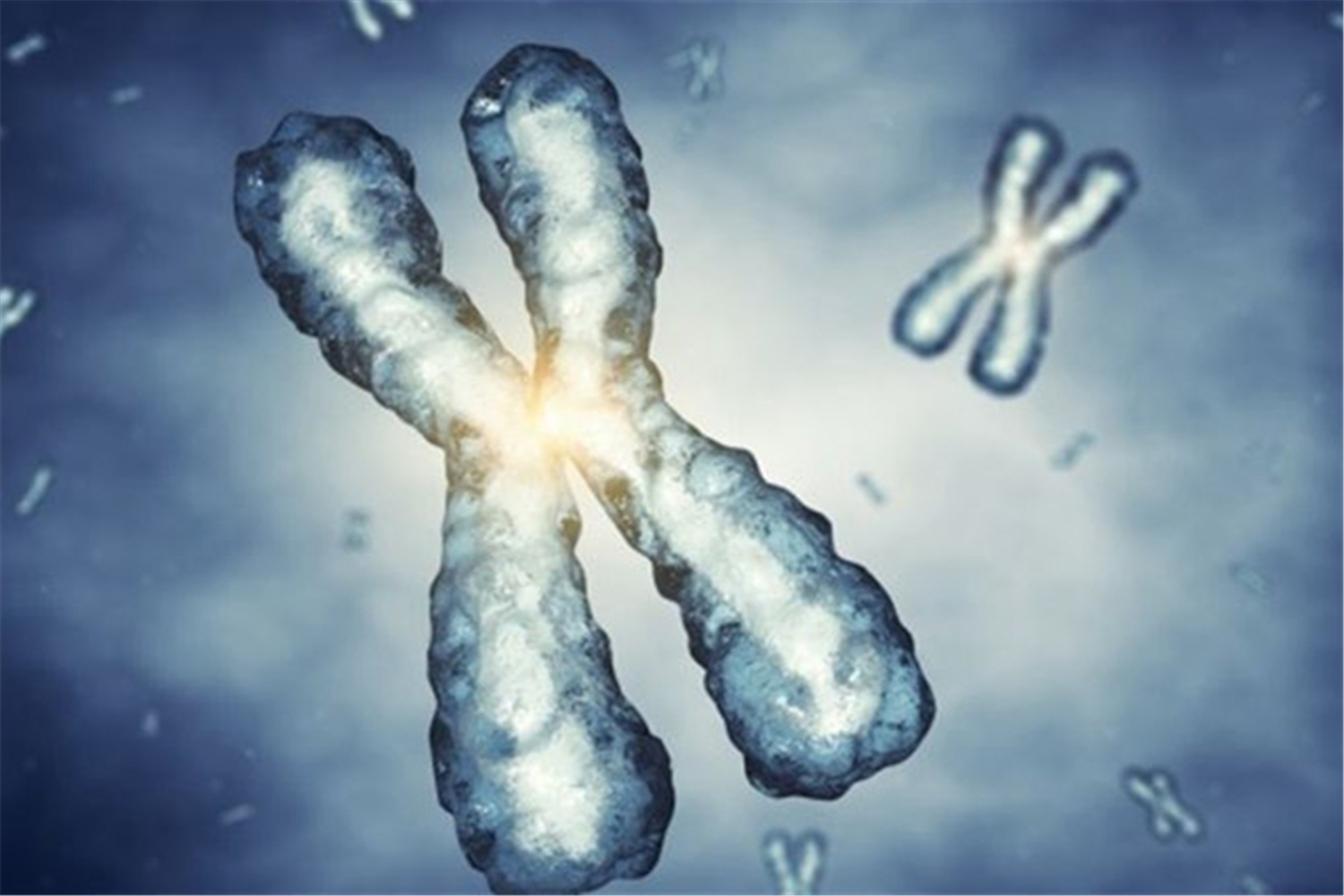 胎宝宝首次排畸检查nt的意义,nt筛查的是什么