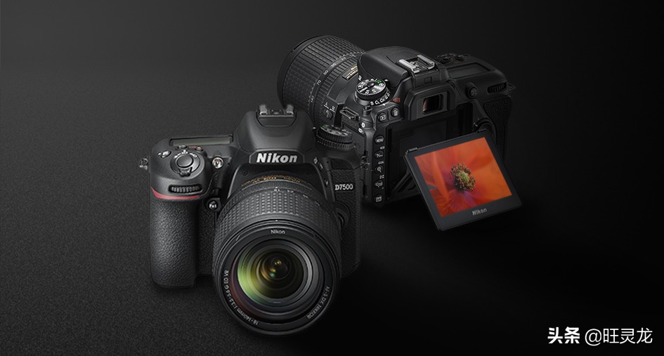 尼康和佳能的单反有什么区别,尼康和佳能的单反哪个更真实