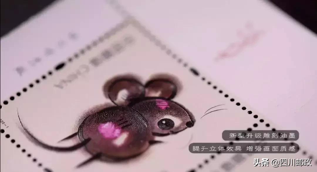 萌翻了所有的视频,萌翻了仓鼠视频