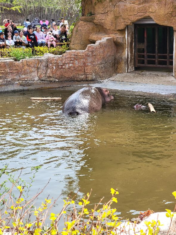 快乐动物园探险,愉快的旅行沈阳森林动物园一日游