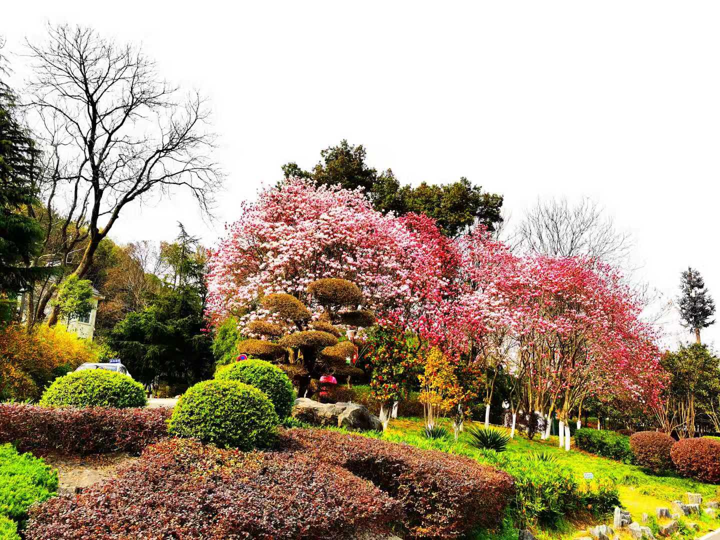 沉睡了千年的历史,沉睡的历史神秘的墓葬