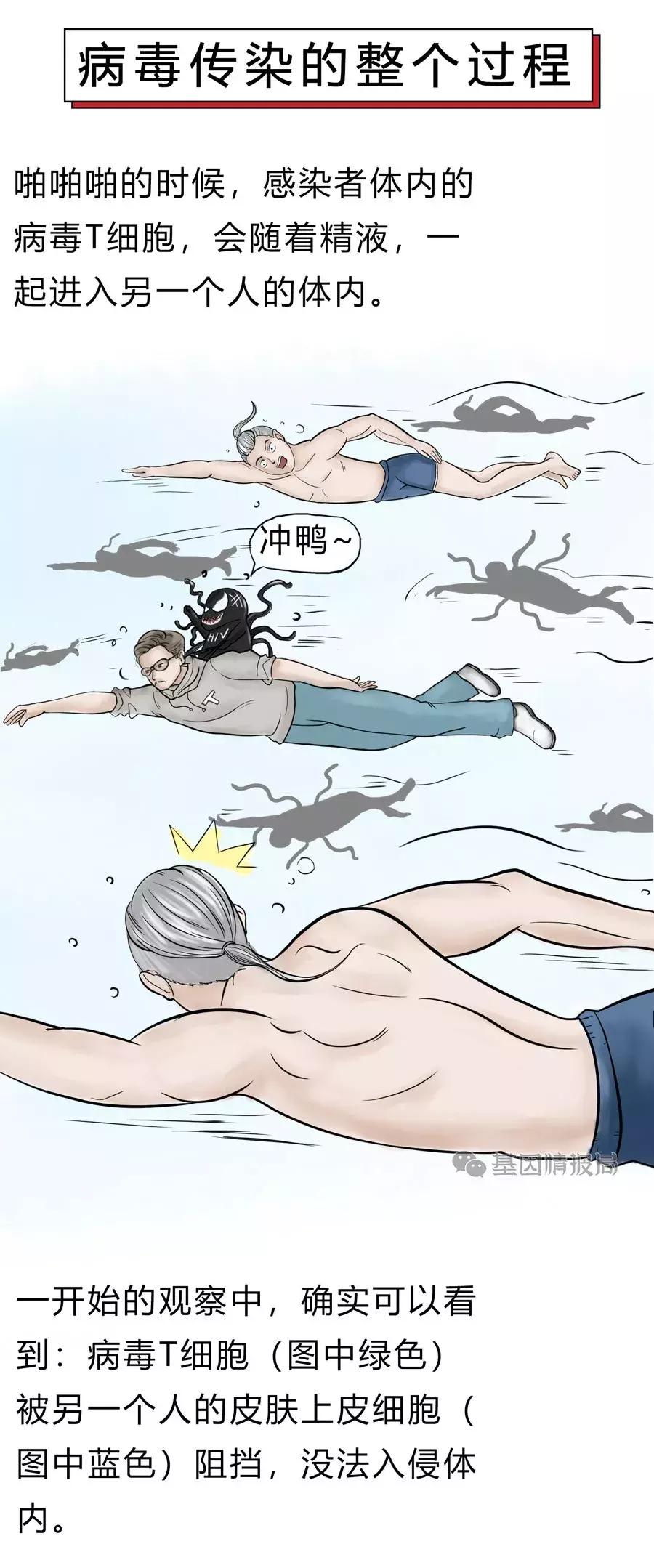 艾滋病病毒入侵全过程曝光,世界上被证实的艾滋病毒体外感染