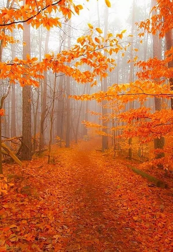 现代诗歌雨天全文,现代雨天诗歌四句简短版