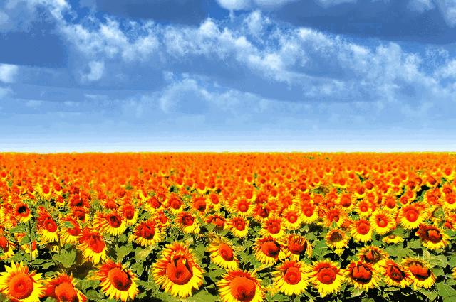 保持善良上天自会庇佑,保持厚道善良