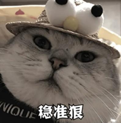 猫耳螨都把耳朵抓出血了怎么办,猫耳朵耳螨结块