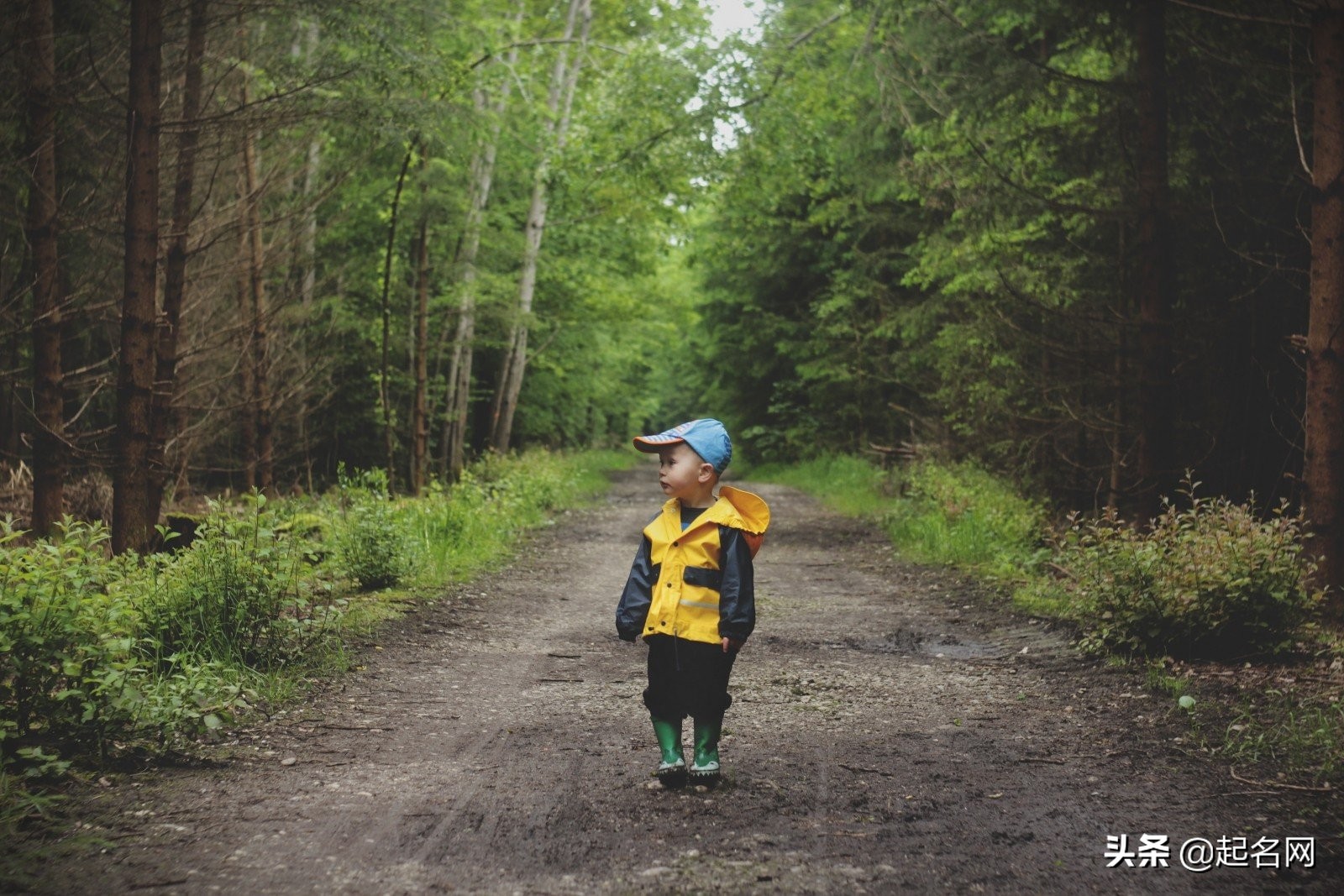 阳光爱笑的宝宝小名,带有满满的祝福
