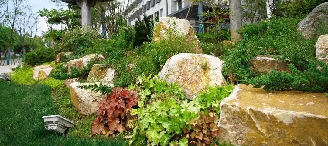 一石百景寸石丈情