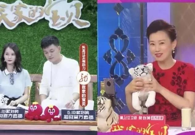 云养殖:喂鸡、种花、养老虎,2020直播电商新风口