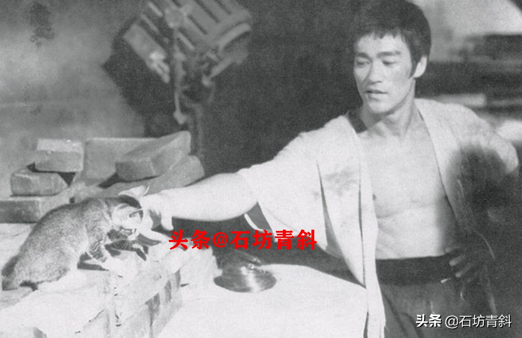 邹文怀怎么请到李小龙,邹文怀谈论李小龙