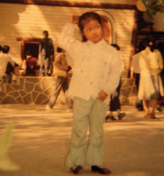 李娜经历了哪些事,李娜的整个人生过程