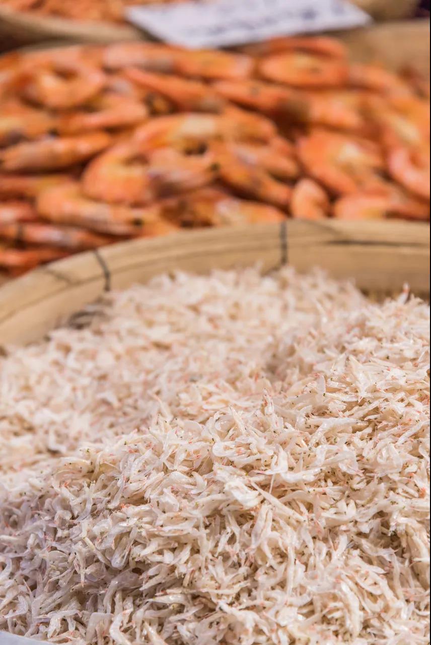 三亚和厦门哪个更值得去玩,三亚和厦门哪个更值得去游玩