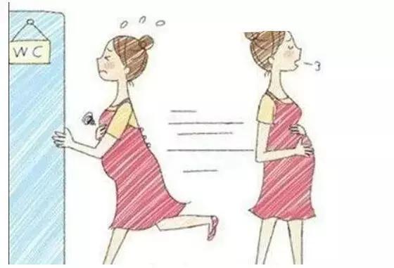 孕期尿频但是尿得很少,孕期前期尿频尿的还多