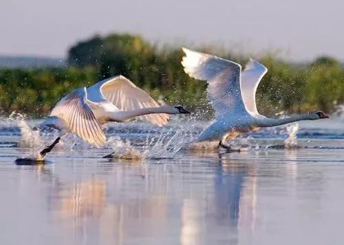 2020年「小众国家旅游指南」欧洲国家的物价，比东南亚还便宜