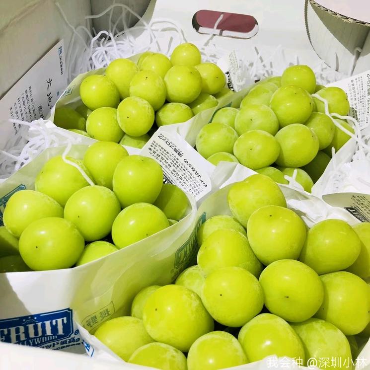 顶级阳光—大地之水一箱4串,2000元!网友:每一颗都是钱的味道